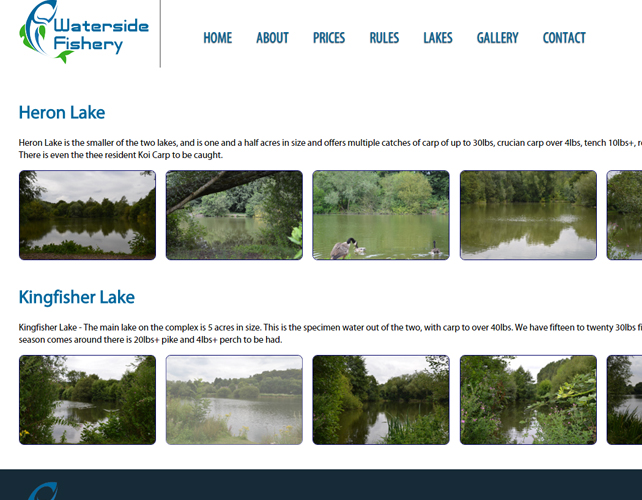 Web Design for Fishery Business